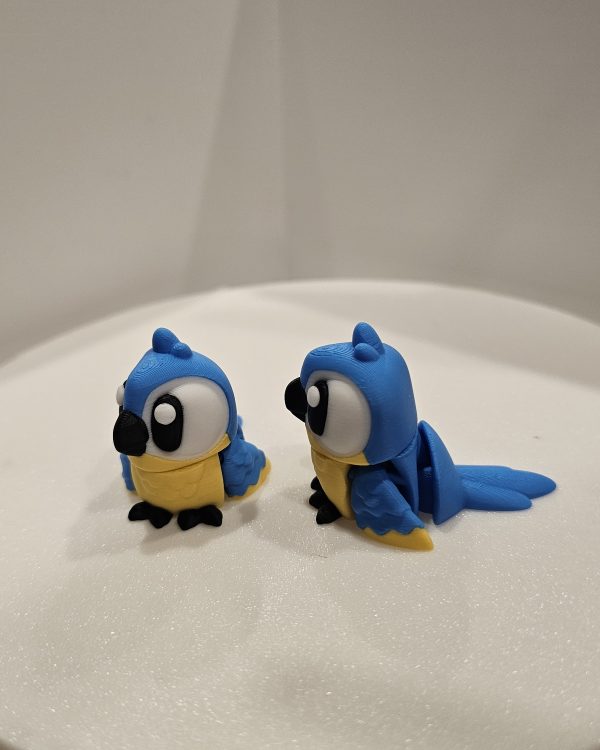 Mini Macaw